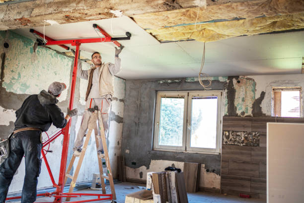 Best Geographic-Specific Insulation Services in Nampa, ID