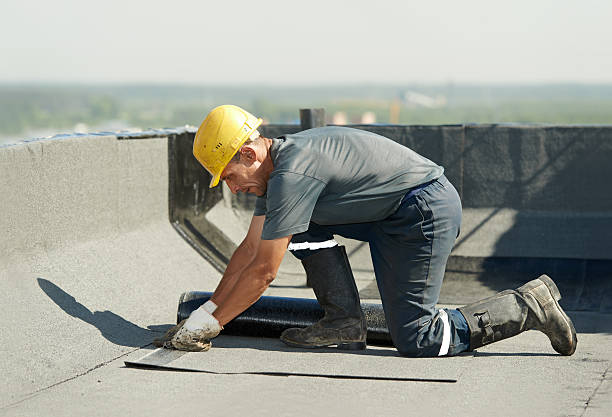 Best Cellulose Insulation in Nampa, ID
